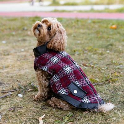 Жилетка для собак Rock, красная, XXL, длина спинки 50см