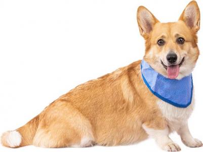 Бандана д/собак охлаждающая COOLING-BANDANA 43/58см – фото 1