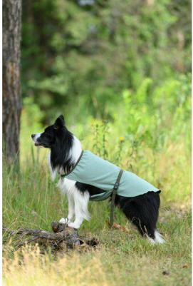Попона для собак размер 4XL унисекс, зеленый, длина спины 60 см – фото 5