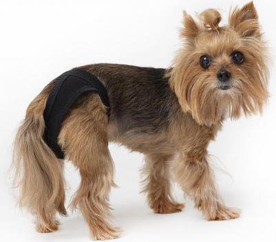 Трусы для собак Comfort L – фото 3