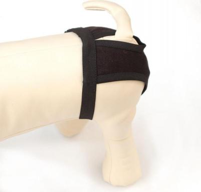 Трусы для собак Comfort L – фото 6