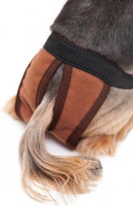 Трусы многоразовые для собак M, коричневые – фото 1