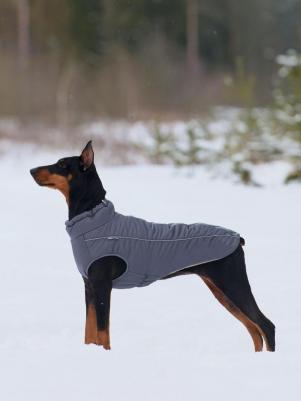 Жилет для собак Аляска, унисекс, темно-серый, длина спины 37 см – фото 8