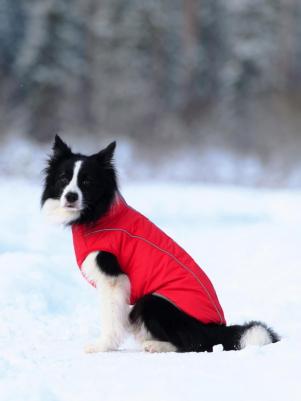 Жилет зимний для собак Аляска, р.37 (красный) – фото 8