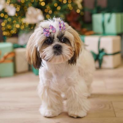 Бантик розово-черный в полоску 2шт