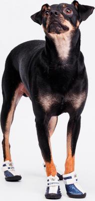 Ботинки для собак, XL, синие (унисекс) – фото 2