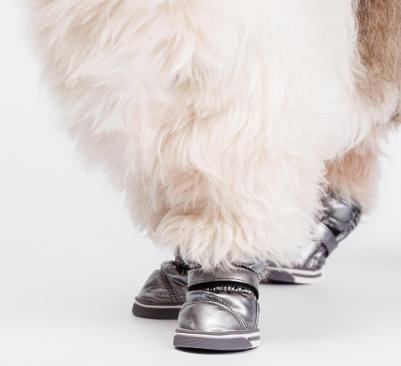 Ботинки-дутики для собак, 1, графит 4680368344198 – фото 1