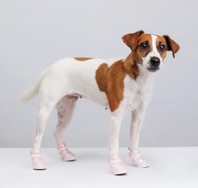 Ботинки-дутики для собак, 2, розовые – фото 2