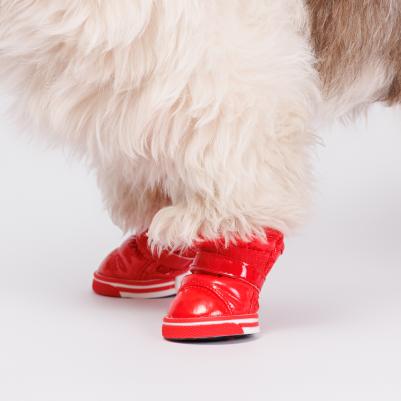 Ботинки-дутики для собак, S, красные – фото 4
