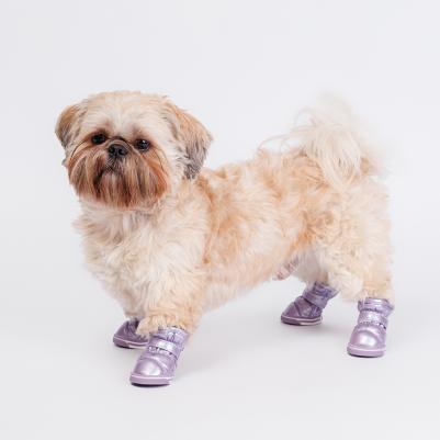 Ботинки-дутики для собак, S, светло-фиолетовые – фото 2