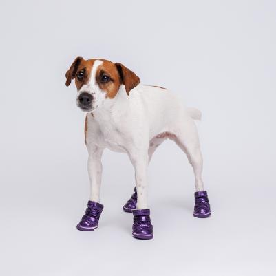 Ботинки-дутики для собак, XL, фиолетовые – фото 6