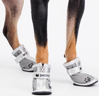 Ботинки с лапкой для собак, L, серебряные (унисекс) – фото 1