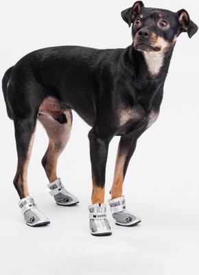 Ботинки с лапкой для собак, L, серебряные (унисекс) – фото 2