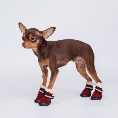 Ботинки с мехом для собак, M, малиновые – фото 4