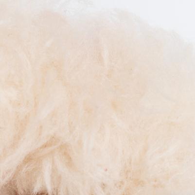 Ботинки с мехом для собак, S, черные – фото 3