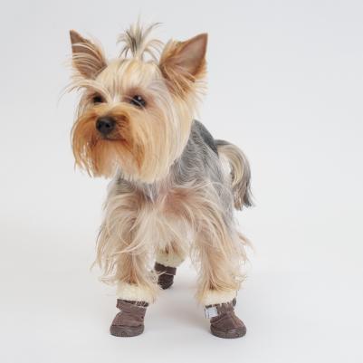 Ботинки замшевые для собак, XL, серые – фото 1