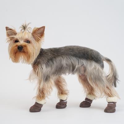 Ботинки замшевые для собак, XL, серые – фото 3