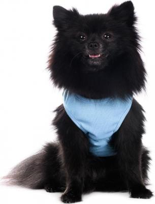 Футболка для собак, 2XL, синяя с принтом (унисекс) – фото 6