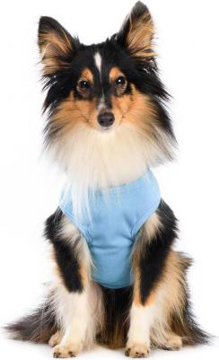 Футболка для собак, 2XL, синяя с принтом (унисекс) – фото 7