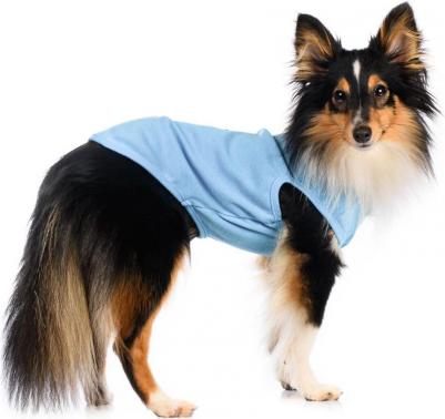 Футболка для собак, XL, синяя с принтом (унисекс) – фото 2