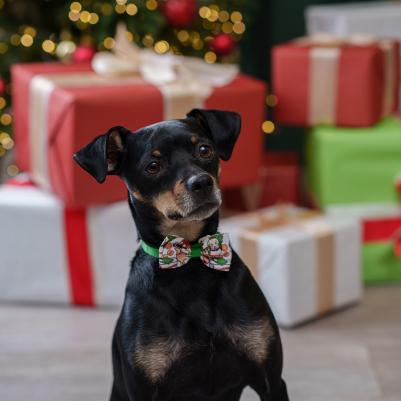 Галстук-бант новогодний для кошек и собак Собачки, бабочка 7,5х4 см, длина ремешка 20 см