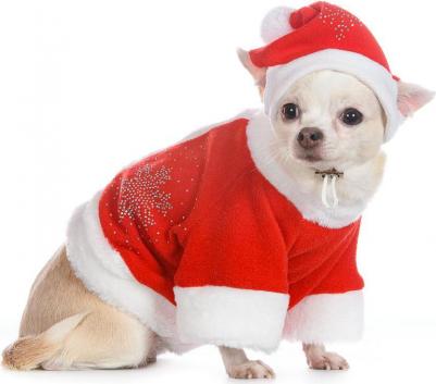 Колпак Деда Мороза для собак, M красный (унисекс)