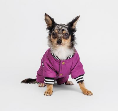 Комбинезон для собак Комикс, S, фиолетовый (девочка)