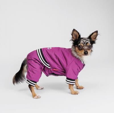 Комбинезон для собак Комикс, S, фиолетовый (девочка) – фото 3