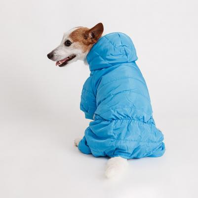 Комбинезон для собак, M, голубой – фото 2