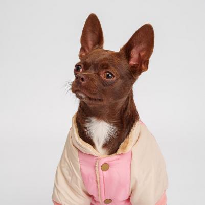 Комбинезон для собак, M, розовый (девочка) – фото 5