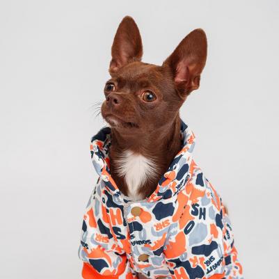Комбинезон для собак, S, серо-оранжевый (мальчик) – фото 2