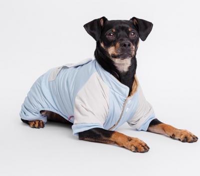 Комбинезон для собак Ушки, 2XL, голубой