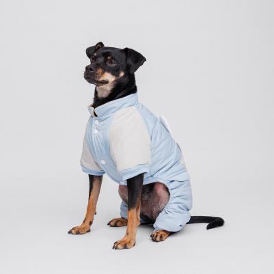 Комбинезон для собак Ушки, L, голубой – фото 4