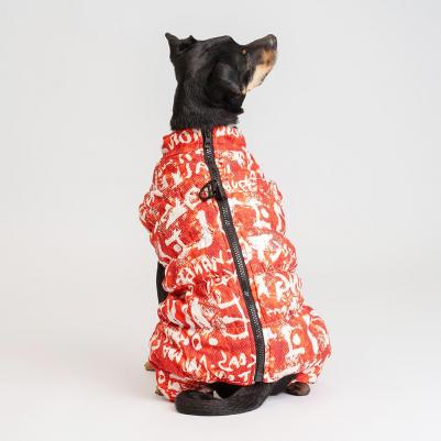 Комбинезон на замке для собак, 2XL, оранжево-белый (унисекс) – фото 2