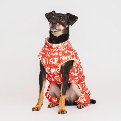 Комбинезон на замке для собак, 2XL, оранжево-белый (унисекс) – фото 3