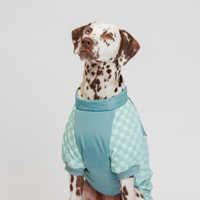 Комбинезон на замке для собак, 4XL, голубой (девочка)