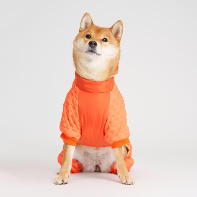 Комбинезон на замке для собак, 5XL, оранжевый (унисекс)