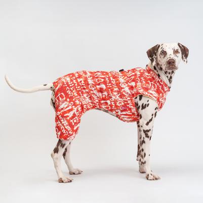 Комбинезон на замке для собак, 5XL, оранжево-белый (унисекс) – фото 2