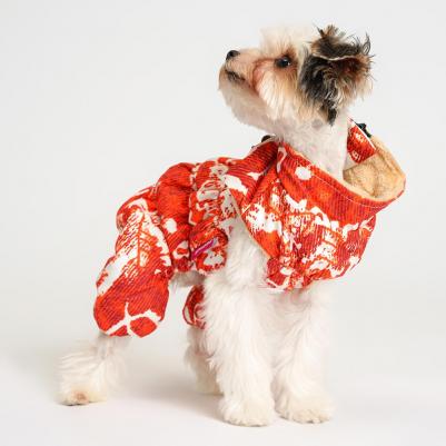 Комбинезон на замке для собак, L, оранжево-белый (унисекс) – фото 4