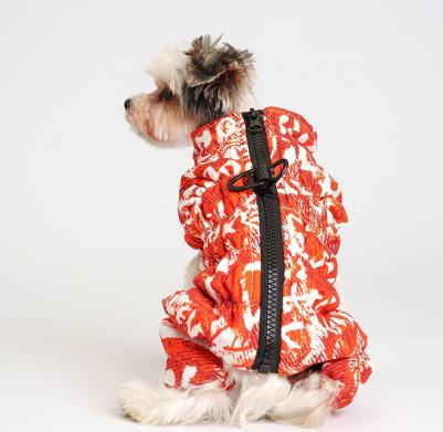Комбинезон на замке для собак, S, оранжево-белый (унисекс) – фото 1