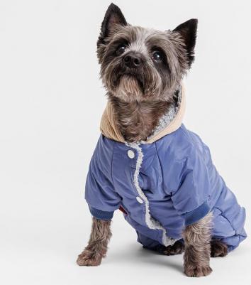 Комбинезон с цветочком для собак, 2XL, голубой (девочка) – фото 3