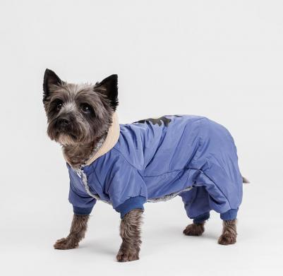 Комбинезон с цветочком для собак, 2XL, голубой (девочка) – фото 4