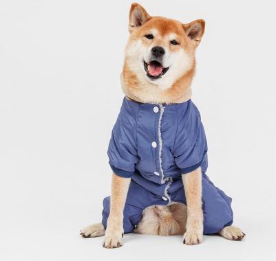 Комбинезон с цветочком для собак, 3XL, голубой (девочка)