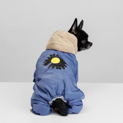 Комбинезон с цветочком для собак, S, голубой (девочка) – фото 2