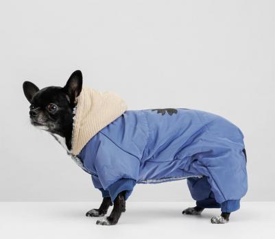 Комбинезон с цветочком для собак, S, голубой (девочка) – фото 4