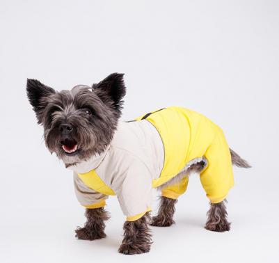 Комбинезон с диагональным замком для собак, M, желтый