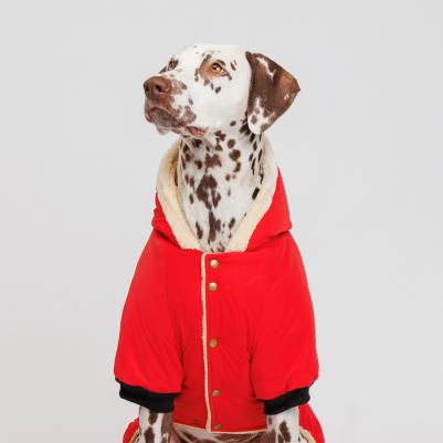 Комбинезон с капюшоном для собак, 3XL, красный (унисекс) – фото 2