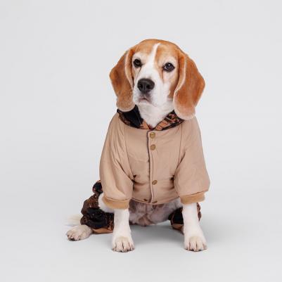 Комбинезон с капюшоном для собак, 4XL, кофейный – фото 2