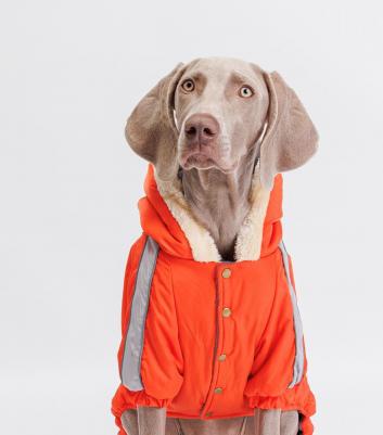 Комбинезон с капюшоном для собак, 4XL, оранжево-серый – фото 2