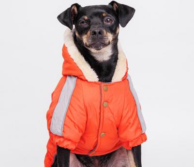 Комбинезон с капюшоном для собак, L, оранжево-серый